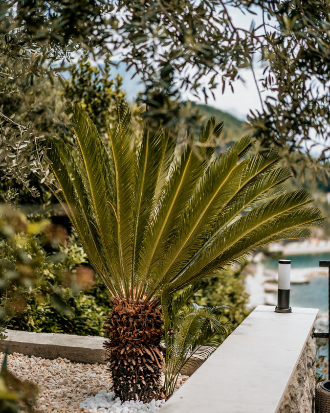 Traditionelle dalmatinische &Auml;u&szlig;ere; "Stein und Olive", Villa AMore Brela Brela